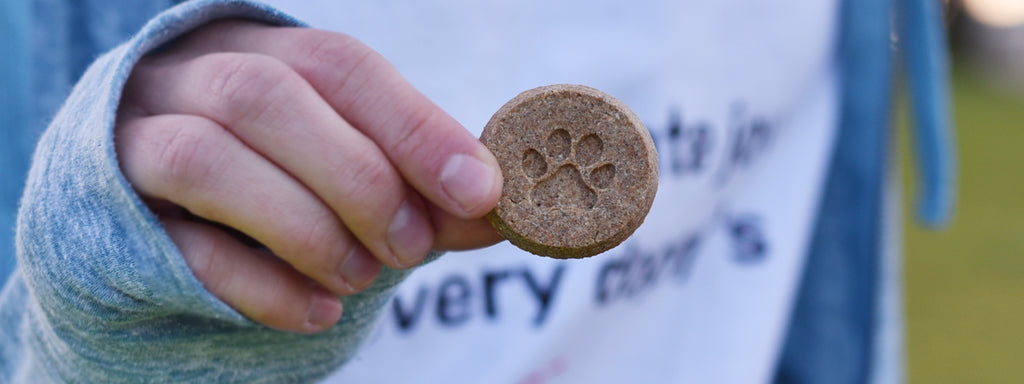 3 Halloween DIY Dog Treats