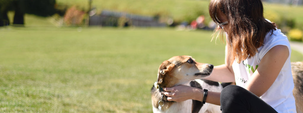 5 Warning Signs in Senior Dogs you Should Never Ignore