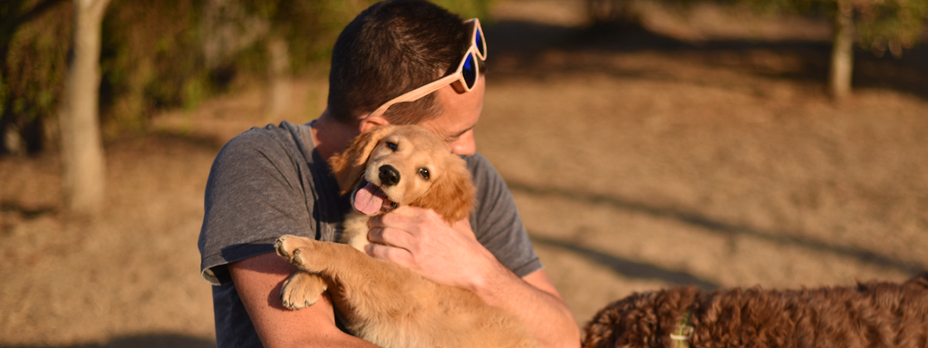 What Do Dogs Learn from Their Owners?