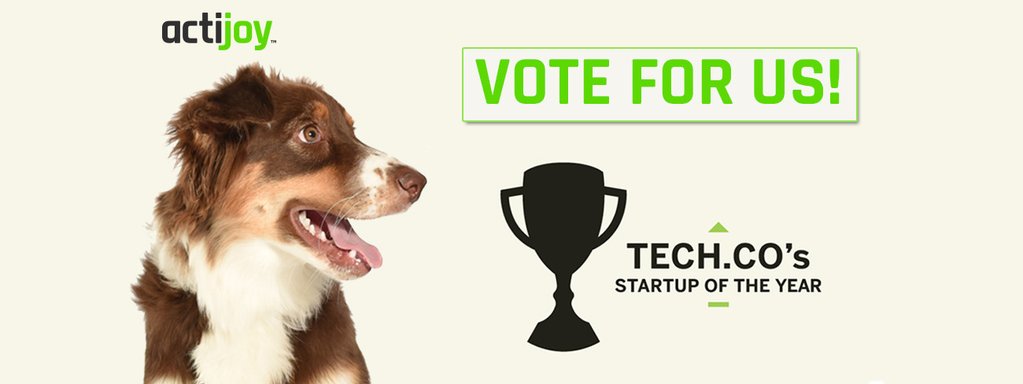 Vote for actijoy in TechCo's Startup of the Year 2017!